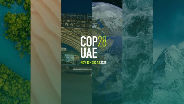 COP28