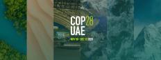 COP28
